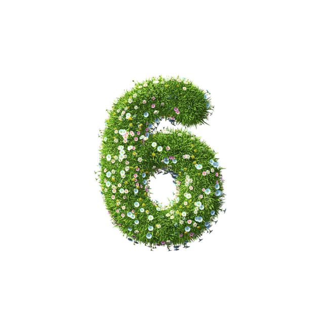 Full Face 6 Pack at Any body and everybody waxing studio LLC in Fairborn, OH